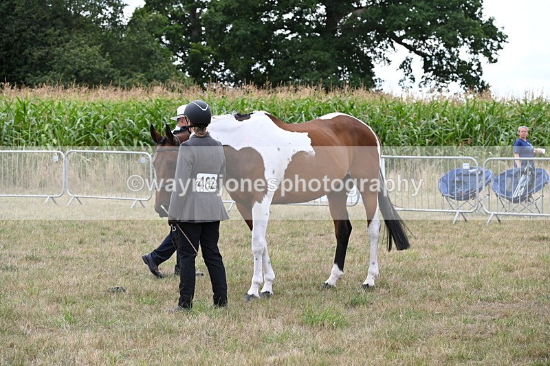 WJ6_6056 - Class 19 In-hand Veterans (Uploaded correct folder)