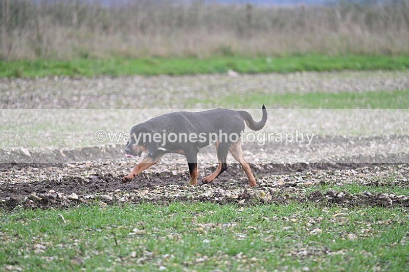 WJ7_0249 - Camera 1 & Last fence
