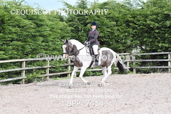 BPP_7414 - RING 1  (RIDDEN HORSES / IN HAND / VETERAN ETC)