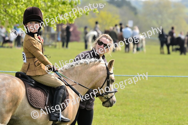 20260426-2259 - Class 20 - Beginner Working Hunter