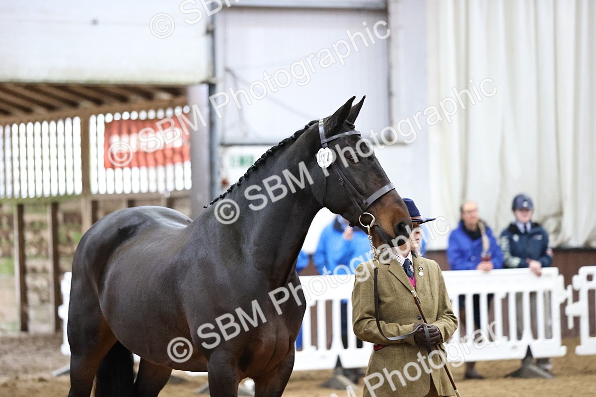 SBM_5657 - Class 40 - RESS In Hand Qualifier