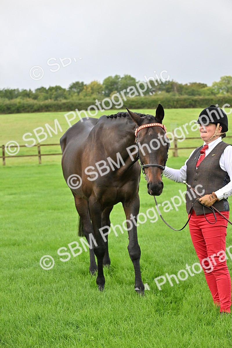 SBM_32635 - S15 - Top Turnout In Hand