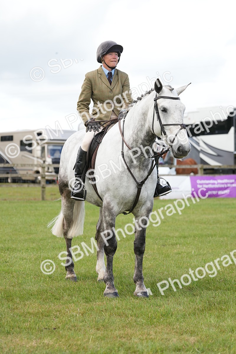 SBM_14902 - Class 100-102 - RIHS Working Hunter