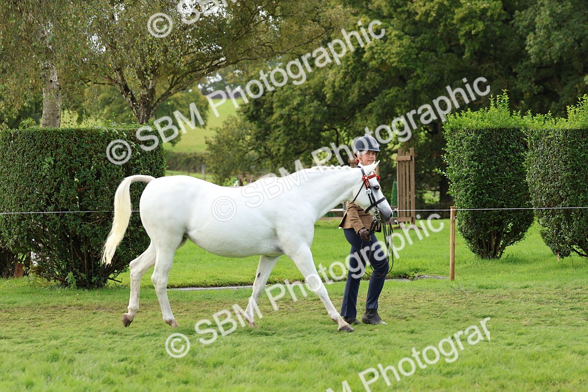 SBM_40709 - S25 -  Veteran In Hand