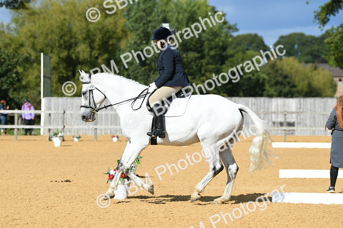 SBM_07485 - D15 Small Tour Championship Novice 24