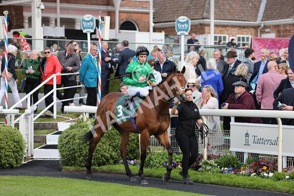 yr11052022r5-10 - Race 5 4.10pm Paddy Power 'Here For The Craic' Stakes