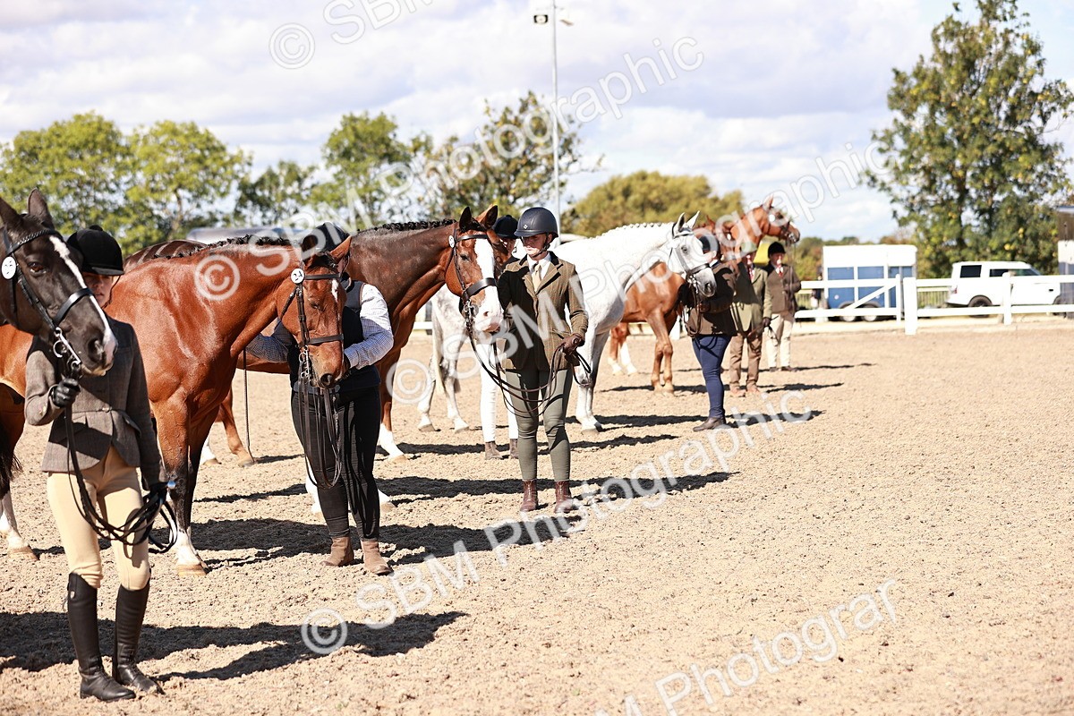 SBM_13332 - class 406 - IH Hunter