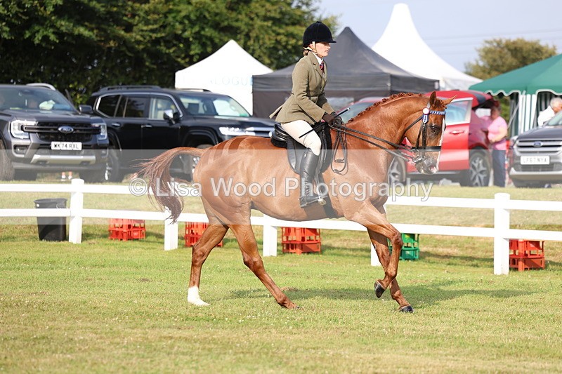 3E7A7687 - Class 1: Rising Star Small Hack/Riding Horses