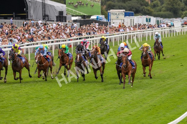 270724-Race 2-Rage Of Bamby-4637 - Race 2 2.40pm Sky Bet Dash Handicap