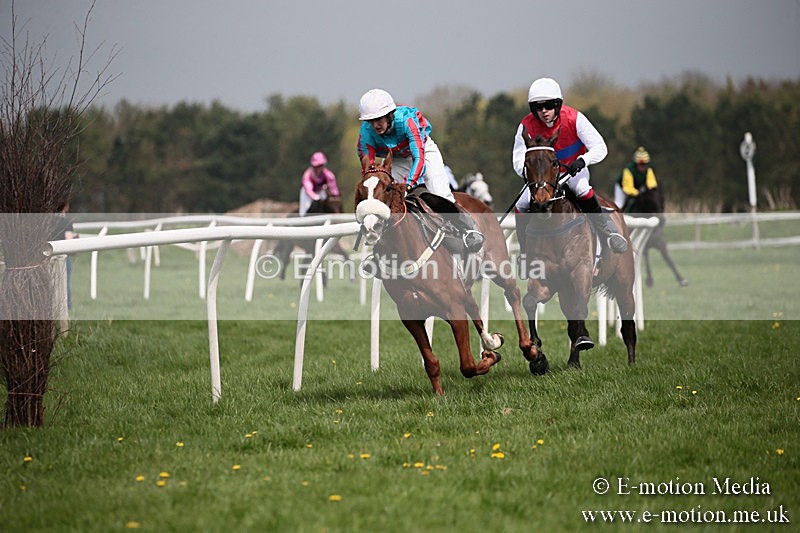 PtP 210418 11 - South & West Wilts Point-to-Point Larkhill 21/04/18