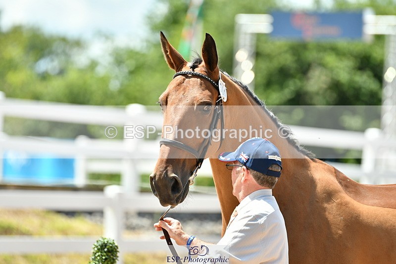 230719A-130419-00269 - Trot Up 1pm to 2pm