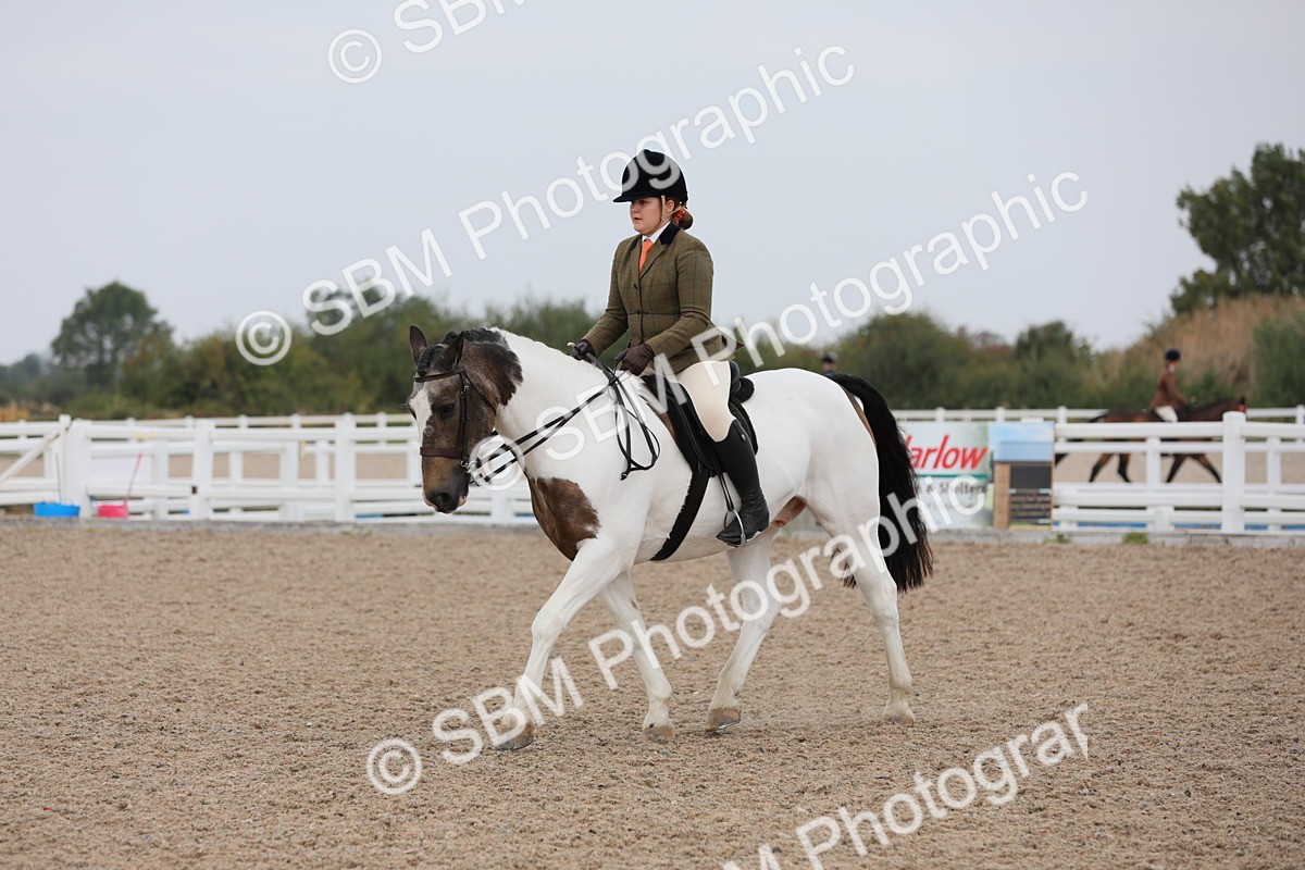 SBM_12721 - Class 307 Ridden Coloured Pony