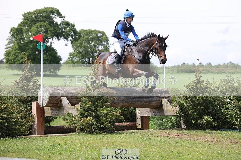 240525-141140-14537 - 162-HAZZLE_DAZZLE-Henry_Hobby