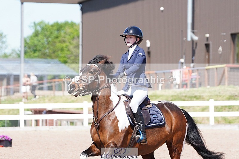 250503-140634-01215 - Cls 27 Stepping Stones