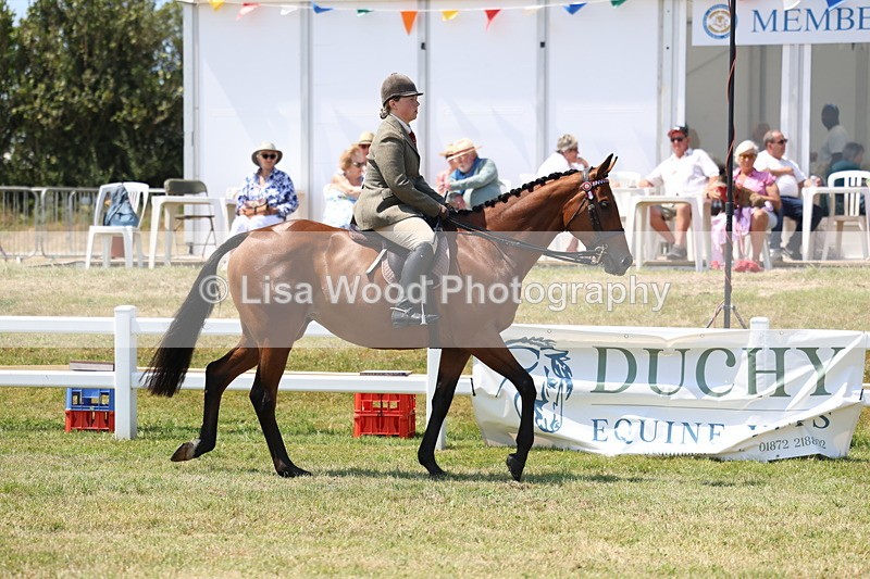 3E7A9278 - Class 12: Open Racehorse to Show Horse