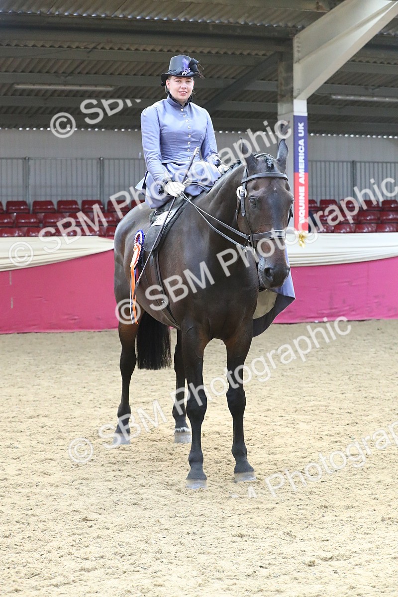 SBM_11617 - Class 105 Ridden Costume- Side Saddle