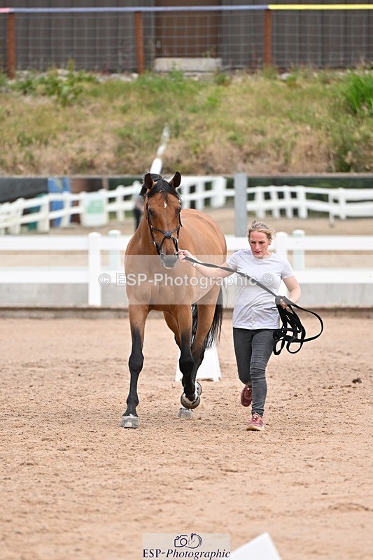 250716-135703-00804 - Trot Up 1.30 to 2.30