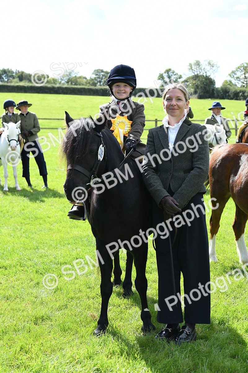 SBM_42653 - S20 - Lead Rein Mountain & Moorland Pony