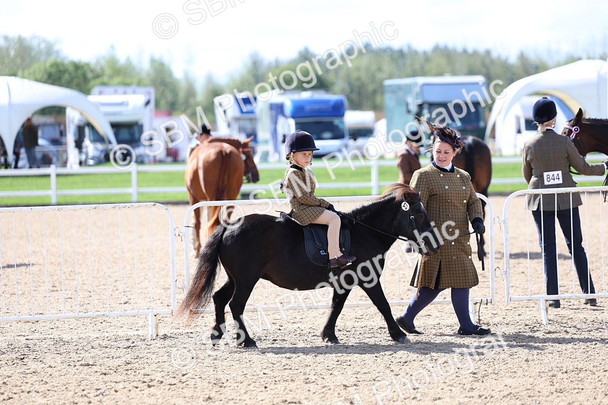SBM_13012 - Class 309 - Lead Rein Pony