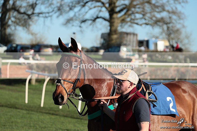 PtP 210326 1146 - VWH Cirencester Races 21/03/26