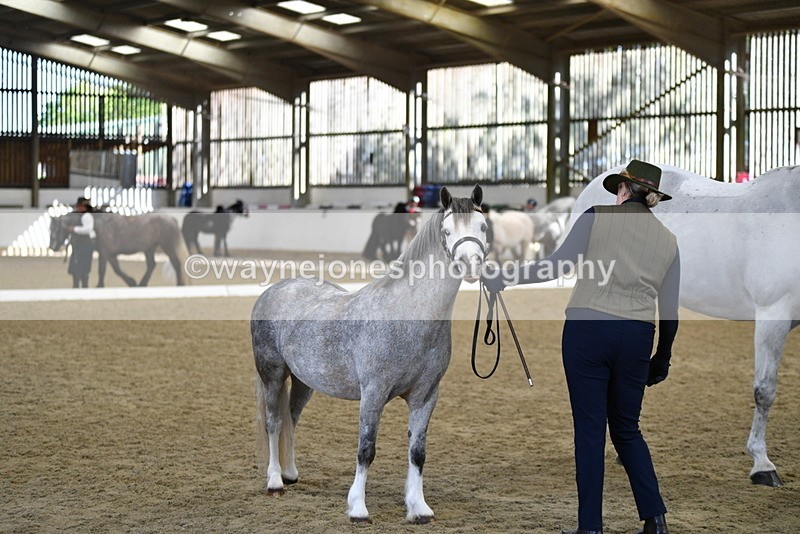 WJ5_4073 - Class 2 Best Condition In hand