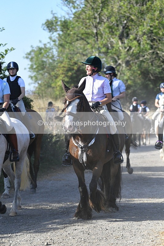 WJ5_4914 - Walk out with the hounds