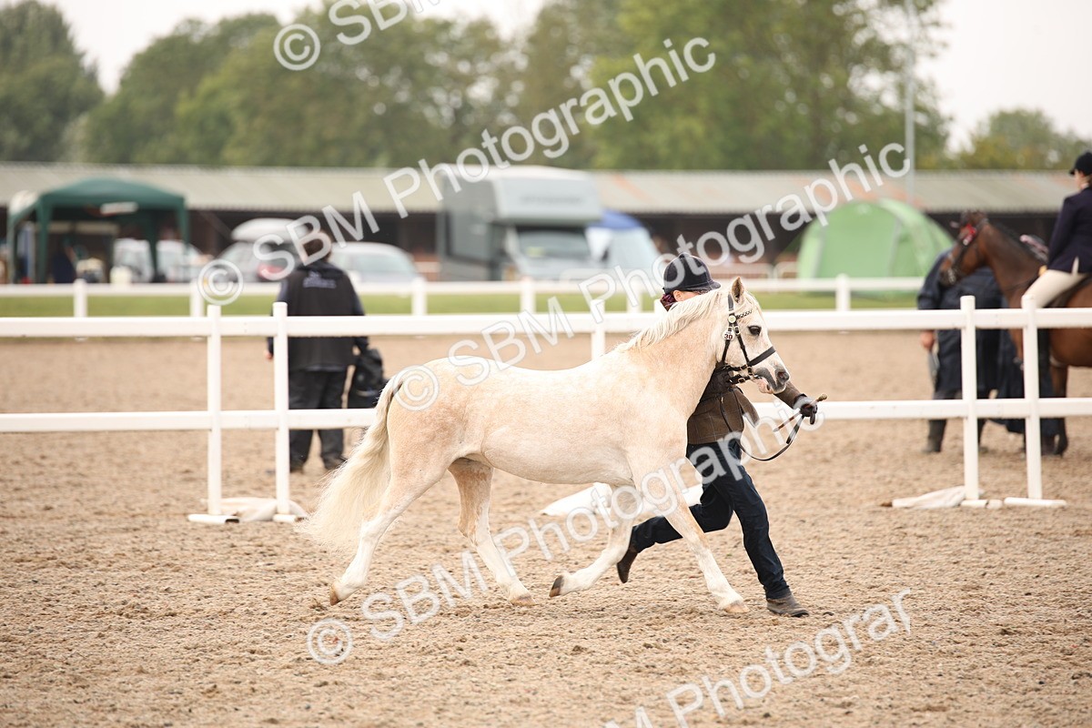 SBM_21474 - Class 706 - IH  Veteran