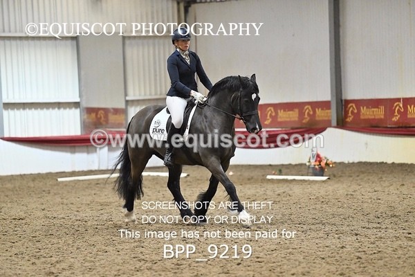 BPP_9219 - ELEM 6