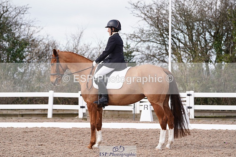 250322-104758-00176 - DR Elementary 1 Test