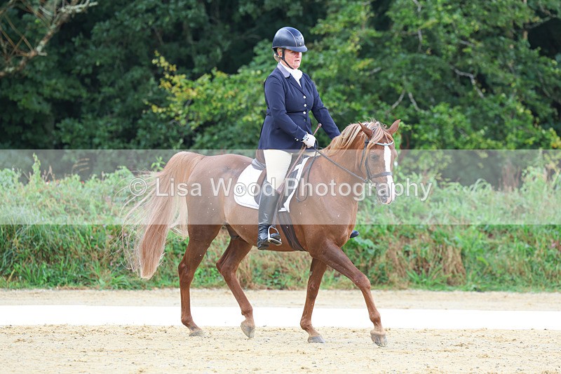 3E7A1929 - Class 1: Intro 4 2024 section A