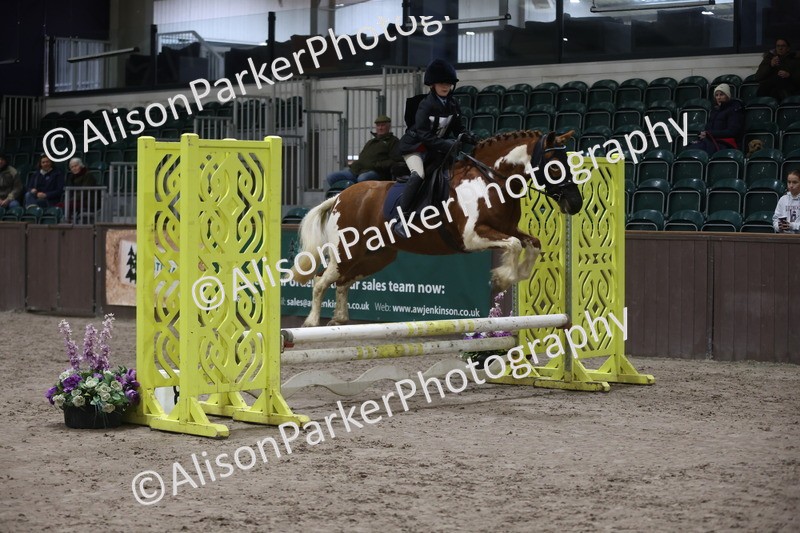 20260125-2771 - Class 3 - 60cm