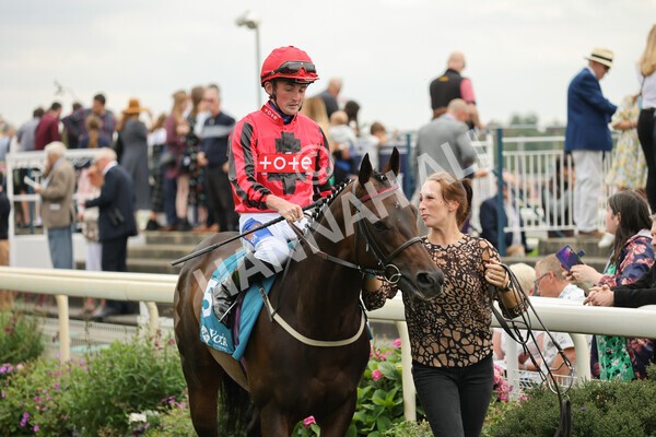yr04092022r2-13 - Race 2 2.20pm John and Judith Marshall Memorial Stakes