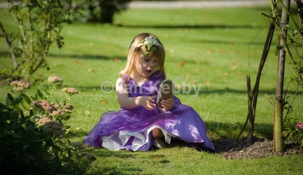  - Weddings