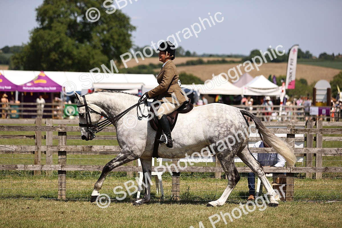 SBM_17730_Class 81 - 83 TSR Ridden Amateur of the Year Horses - 1234
