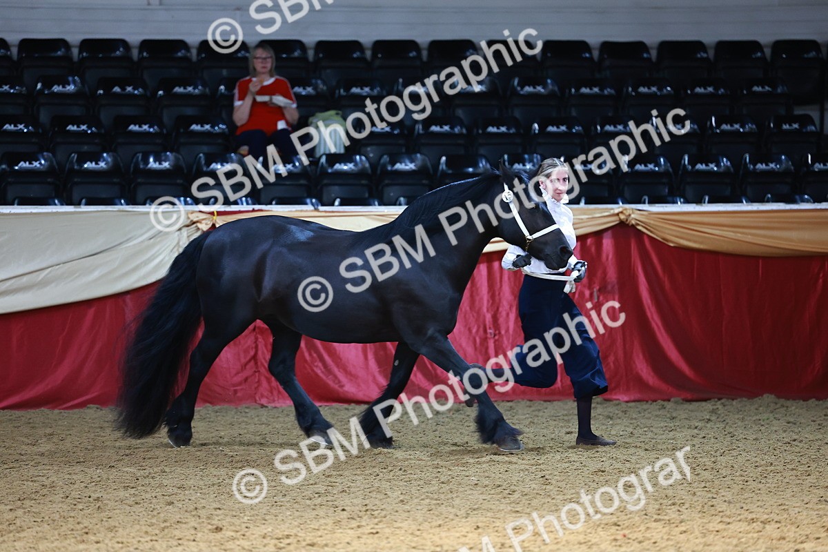 SBM_23141 - Class 903 - Supreme Final - IH Pre Vet