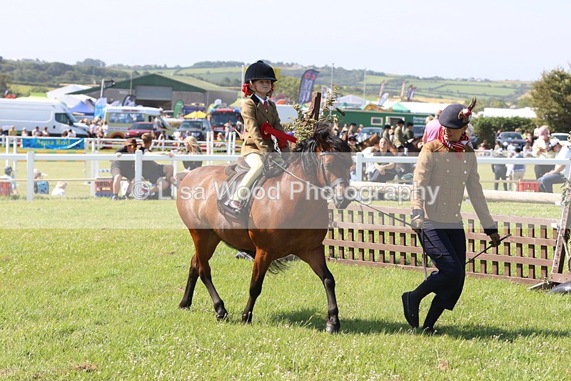 JPP_2121 - Cornish Combination Championship