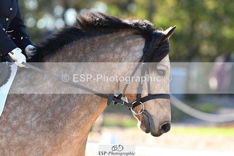 231110-113036-00446 - Cls 2 Prelim 17(a)Q