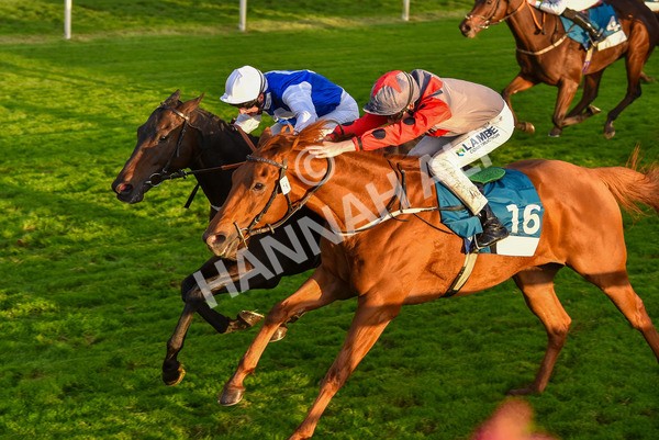 131023-Race 7-Thunder Roar-0149 - Race 7 5.35pm Visit Irish Bloodstock Sales With ITM Apprentice Handicap