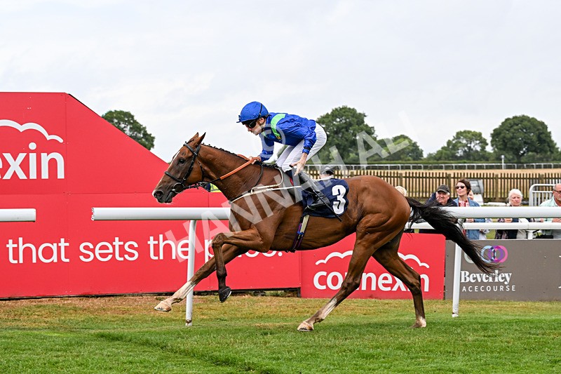 150725-Race 5-Sax Appeal-0792 - Race 5