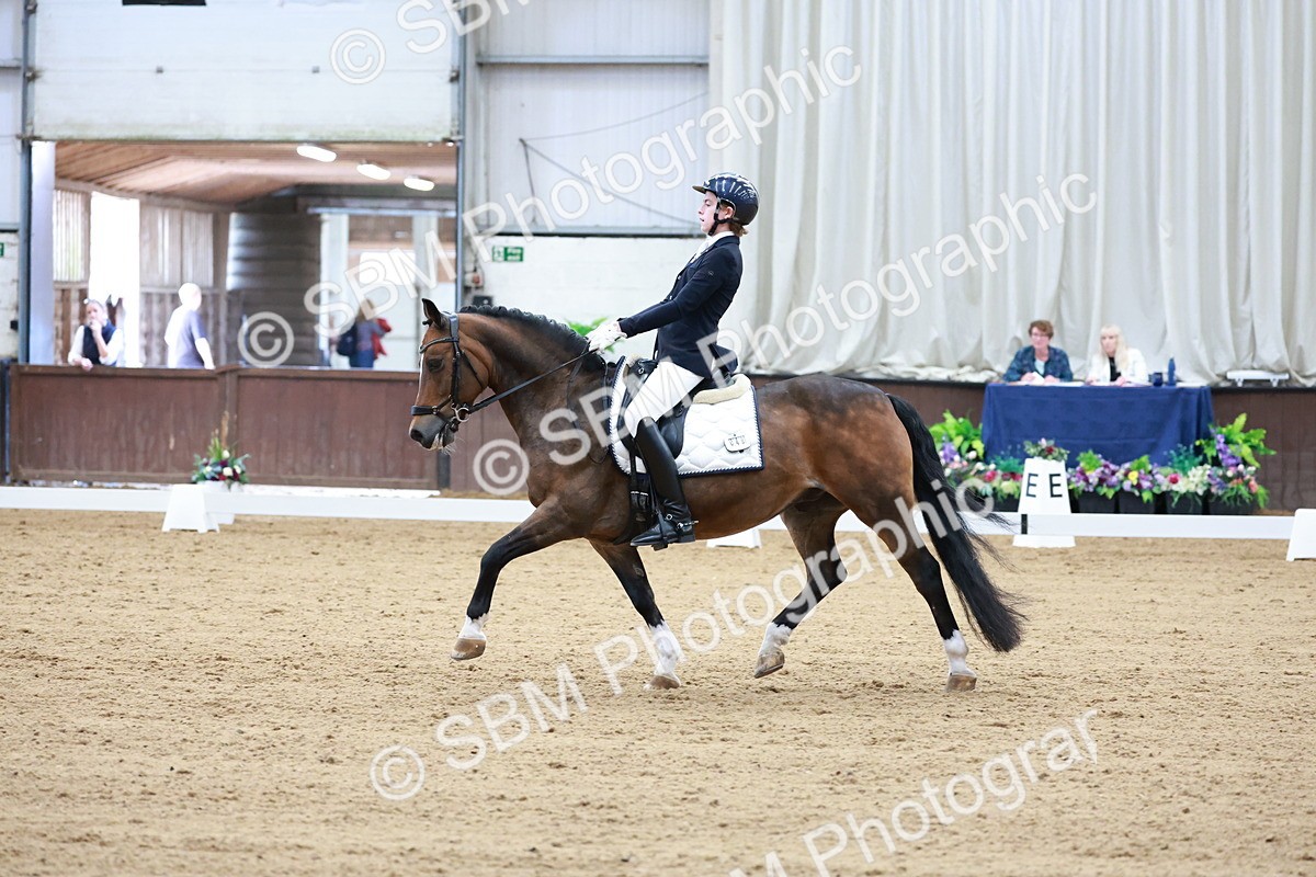 SBM_017149 - Class15 - FEI Pony