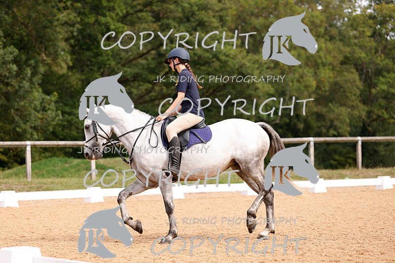 _R6A2545 - Dressage Morning
