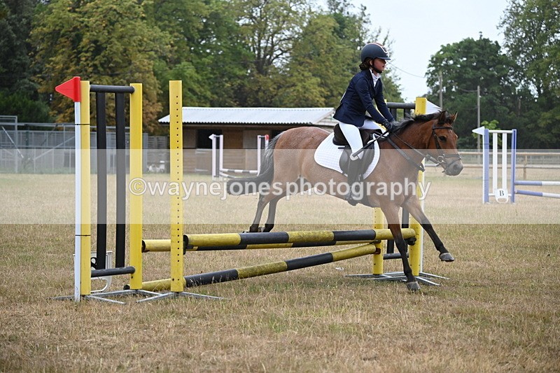 WJ6_0008 - Class 13 Novice Jumping 60cm