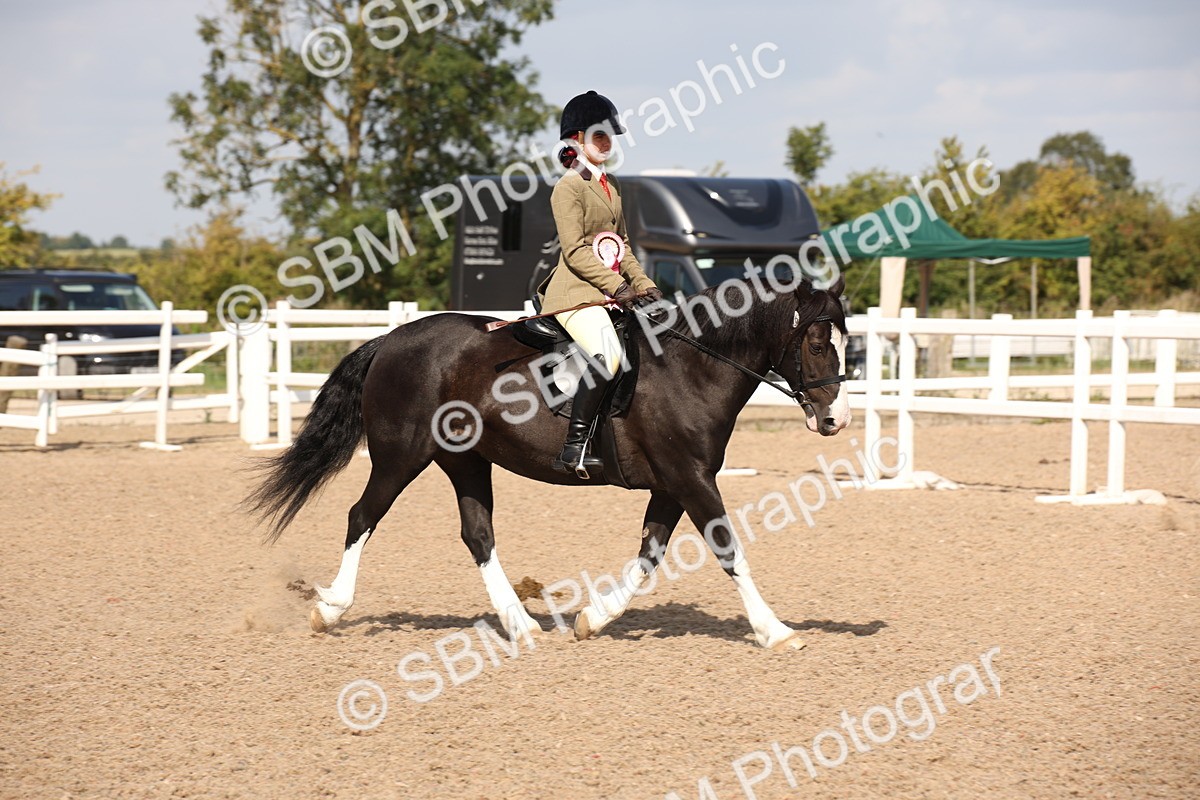 SBM_03088 - Class 17 Prettiest Mare IH or Ridden