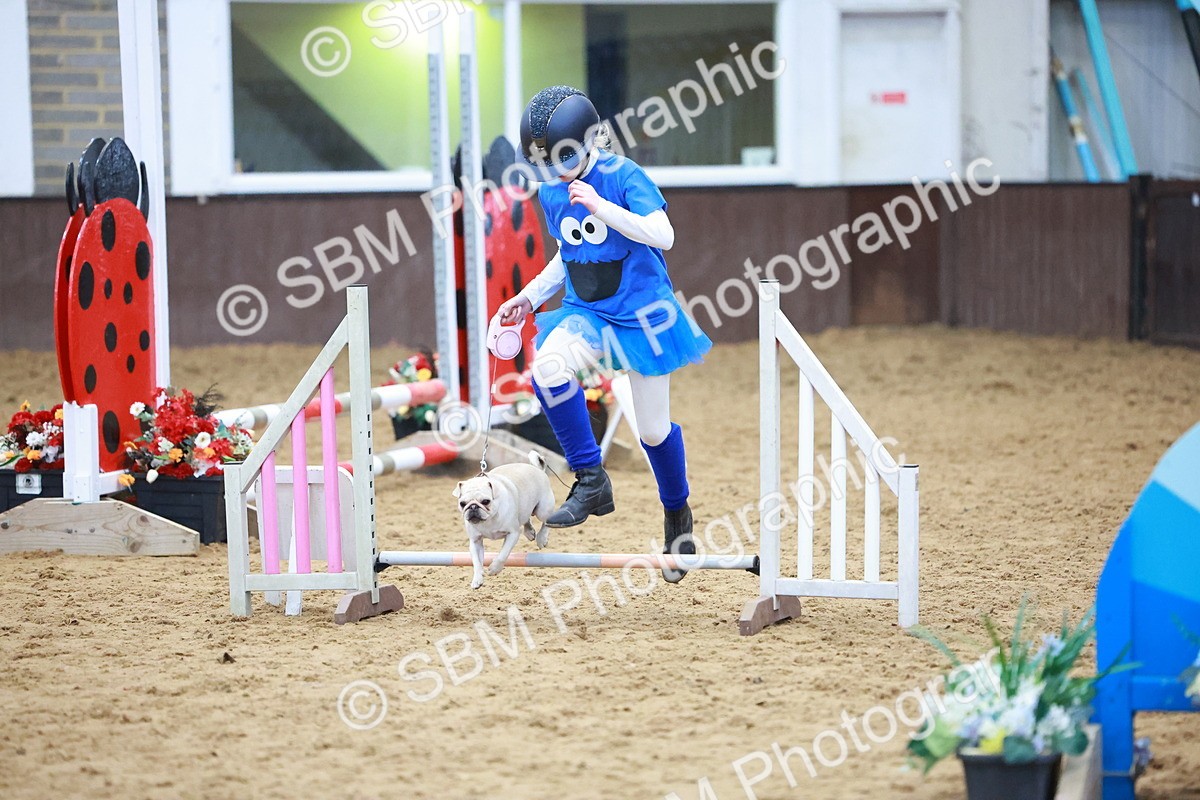 SBM_002137 - Class 3 - Horse & Hound (60cm)