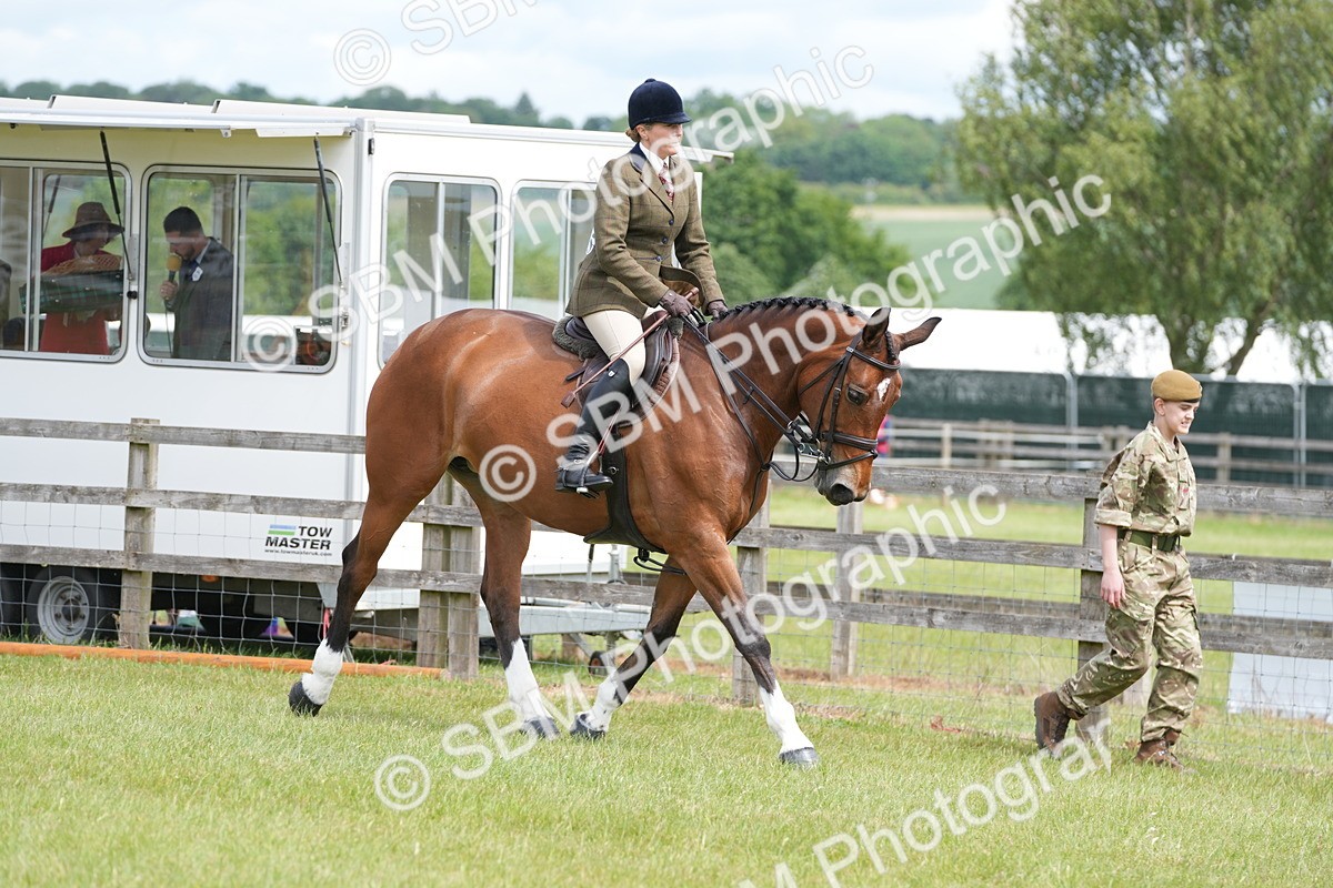 SBM_15001 - Class 100-102 - RIHS Working Hunter