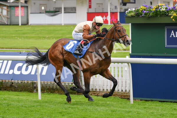 yr22052021r1-25 - Race 1 2.05pm William Hill Pick Your Places Stakes