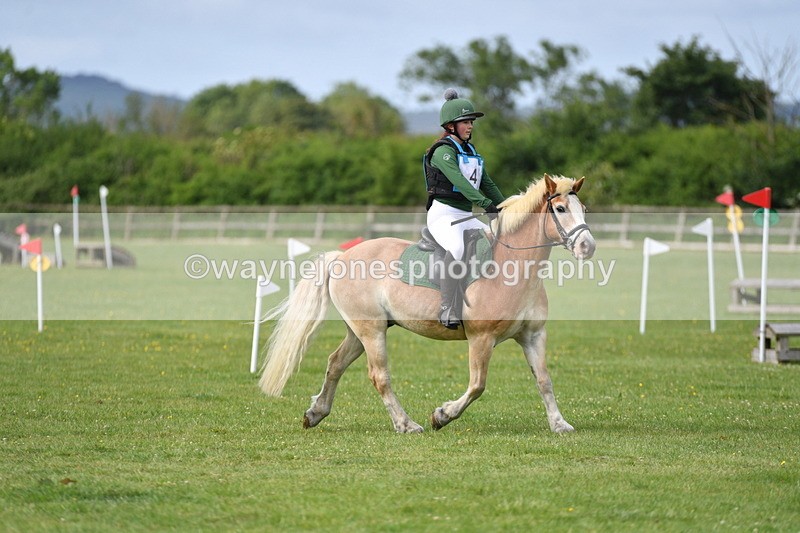 WJ5_2311 - Class 2 40cm