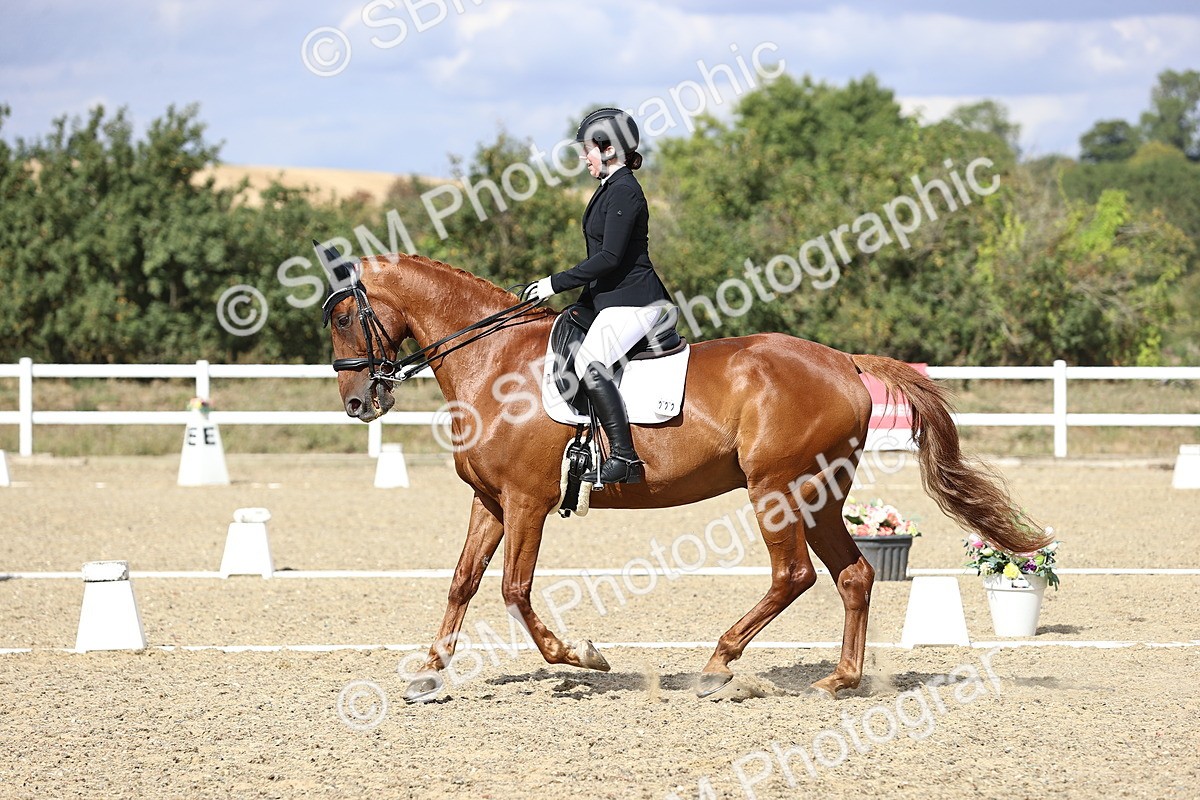 SBM_015262 - Class 5 - E5 Bronze 14.42.15.54