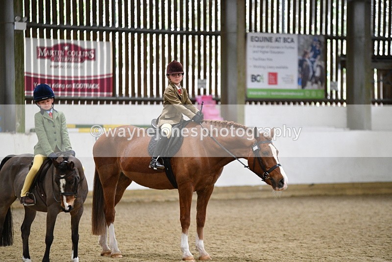 WJ5_6447 - Class 9 Ridden Veteran