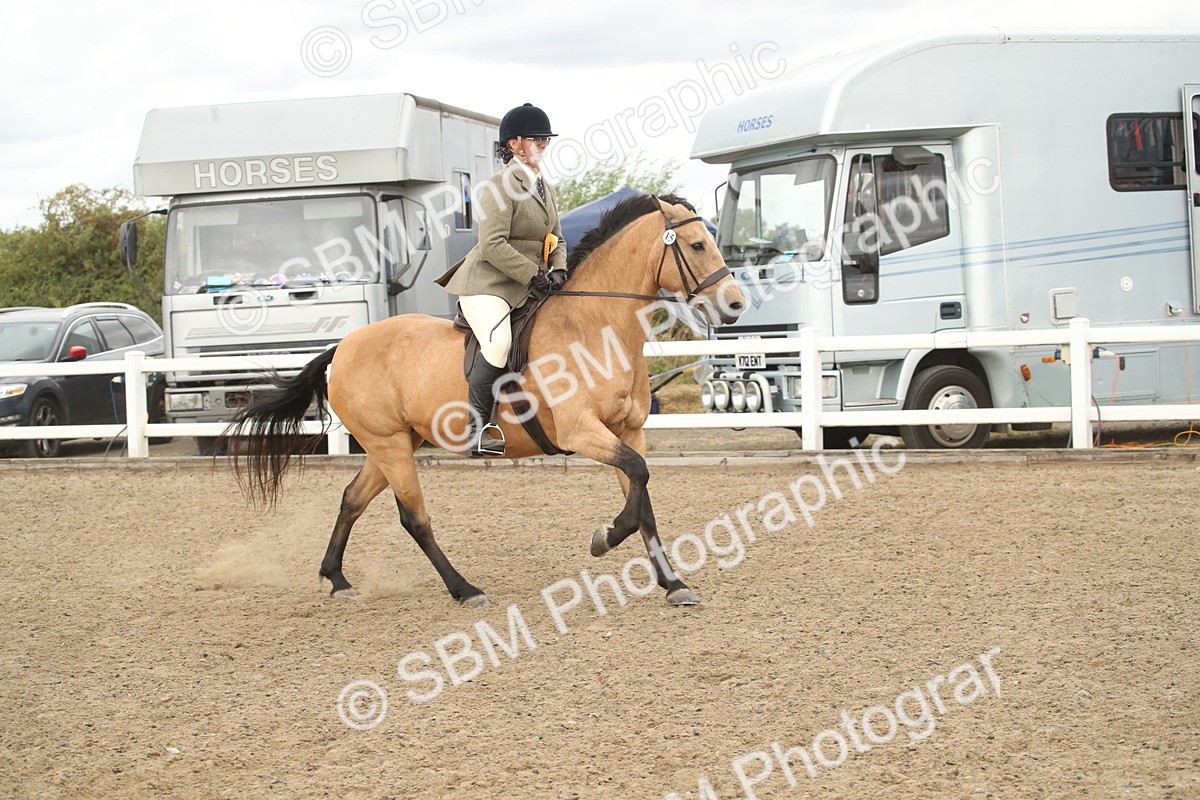 SBM_16719 - Class 507a - Working Veteran - 60cm (15-19)